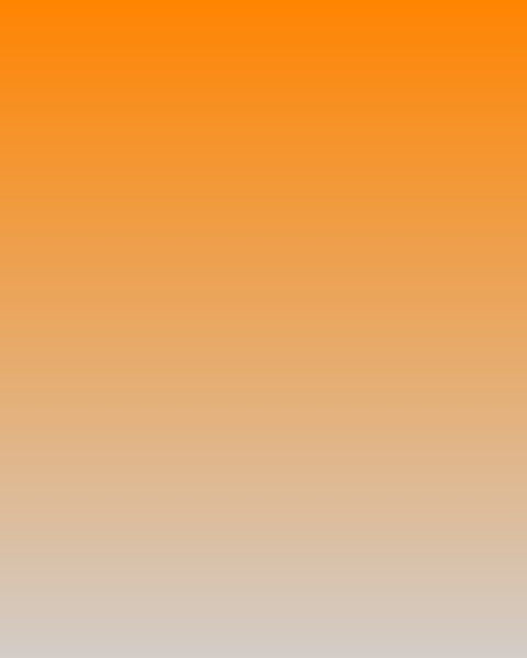 This machine is called Bronson.